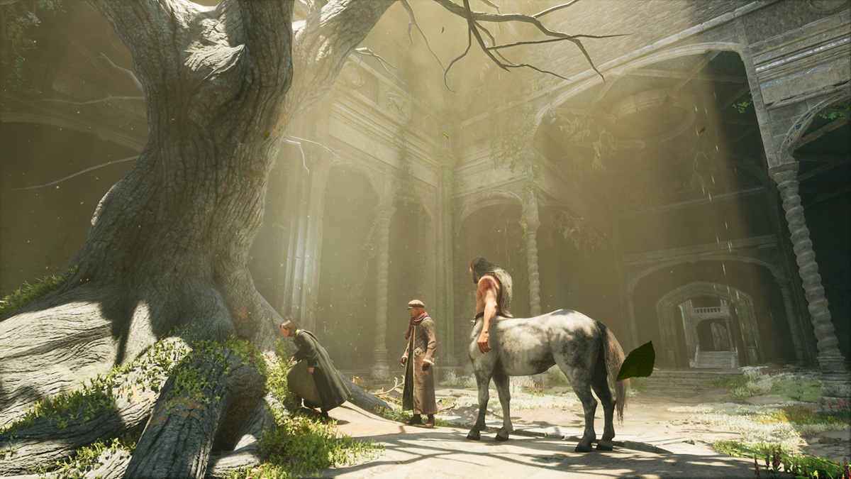 Wizard, witch and centaur look at something by a tree root.