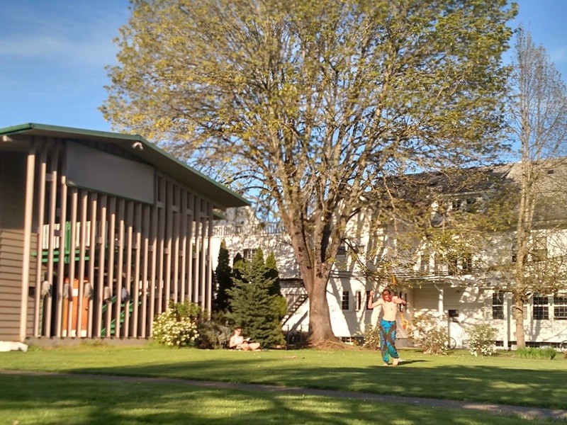 A person is dancing outdoors near a large tree and a building, enjoying a sunny day.