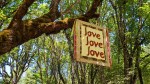 casual ramble about gratitude featured tree on oregon country fair grounds with hanging quilt that reads love love love