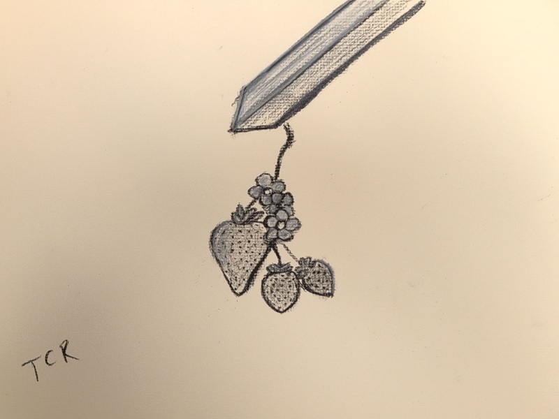 A pencil drawing of three strawberries and a cluster of small flowers hanging from a green stem.